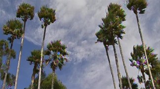 Weekend Forecast: High Surf, Red Flag Warnings