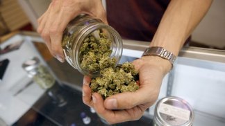 Marijuana Reignites Interest in Eagle Rock Neighborhood Council