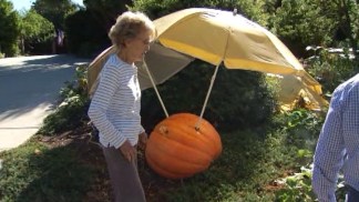 Vandals Smash Prized Pumpkins