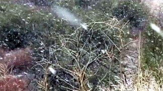 Raw Video: Snow Falling in Palmdale