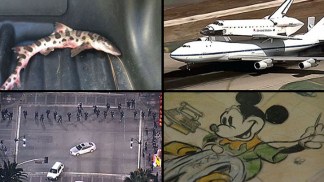 Top 15 Most-Clicked NBCLA.com Stories of 2012
