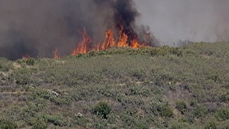 Brush Fire in Castaic