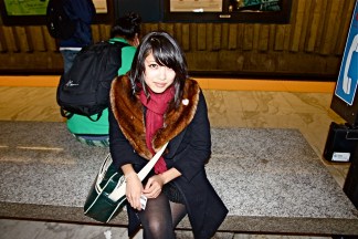 Faux Fur Frenzy