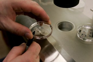 Ban Lifted on Embryonic Stem Cell Research