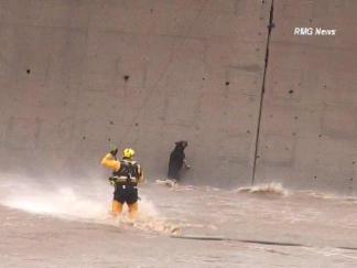 Ground Video: Dog Airlifted From LA River
