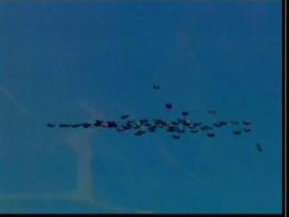 Skydivers Jump for Record