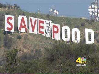 Save the Pood