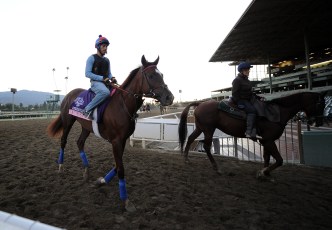 Sandy Scrambles Breeders' Cup Plans
