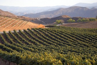 World of Wine 2011