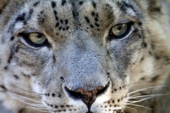 Moonridge Animal Park Photo Day