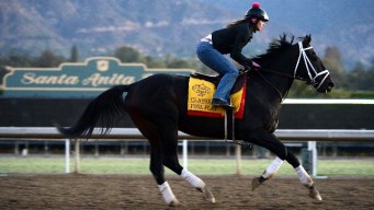 Breeder's Cup Trots at Santa Anita