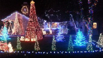 Images: Fritz's Holiday Lights