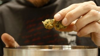 Voters Approve Medical Marijuana Measure D