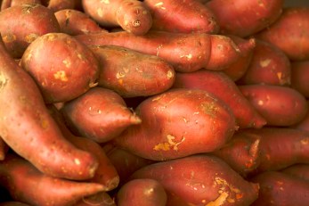 Baby, Eat Your Yams!