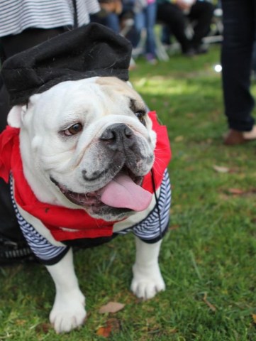 Bulldogs Take the Crown at Long Beach Pageant