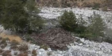 Heavy Rains Trigger Flash Flooding in Forest Falls