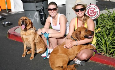 Woof: Calabasas Canine Classic