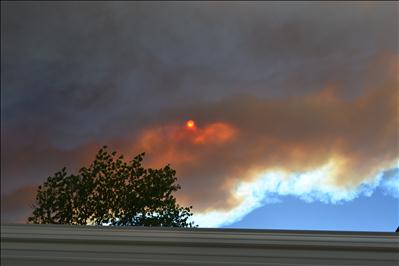 Viewer Images: Willimans Fire in Angeles National Forest