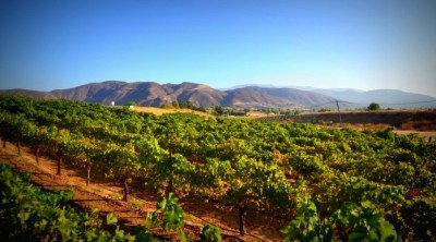 Temecula's World of Wine