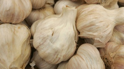 Gilroy, Garlic, and Gardens