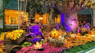 Sin City's Whimsical Wine Country