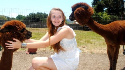 Alpaca Magic