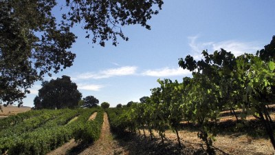 Paso 'N Pedals