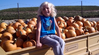 Peltzer Pumpkins Up