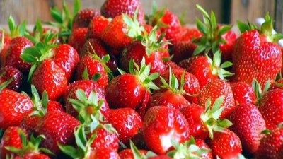 Garden Grove's Sweetest Weekend