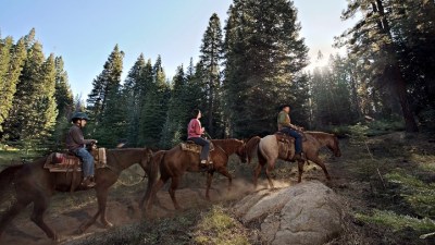 Sequoia Horseback Riding