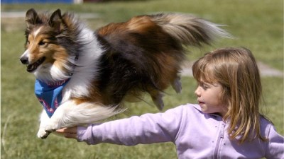 It's a Big, Big, Big Pet Expo