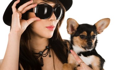 Doggie Street Festival