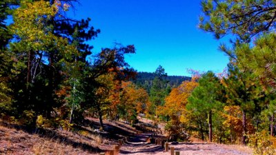 Fall Colors and Free Gas in Big Bear
