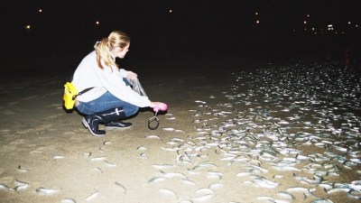 A Grunion Goodbye