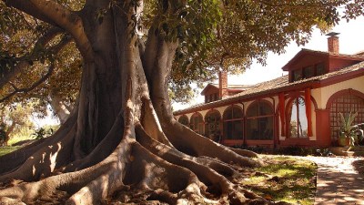 Rancho Los Alamitos Restoration