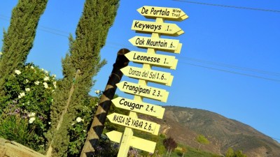 California Wine Month, Temecula-Style