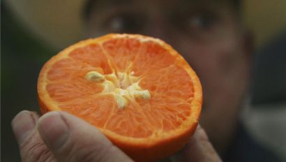 Farmers are demanding that the apian community minds its own beeswax. 