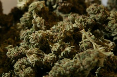 Marijuana Marijuana
