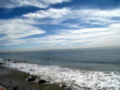Seagull over Malibu