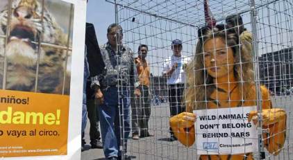 PETA Member Shows Her Stripes