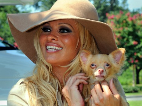 Pam Anderson Lists Malibu House on VRBO 