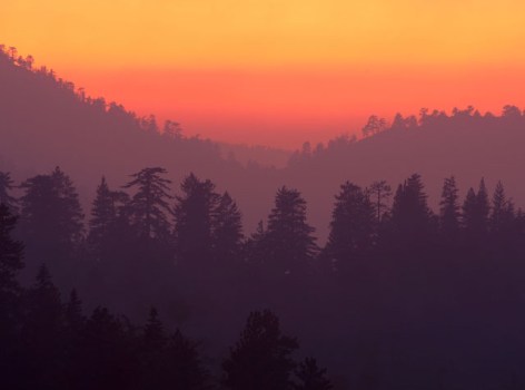 Angeles National Forest Reopens