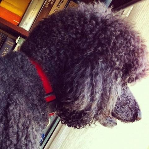 Your #Socalgram Photos: May 2012