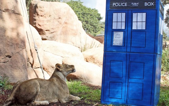 Doctor Who and the Big Cats