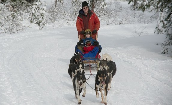 Golden State Dog-Sledding