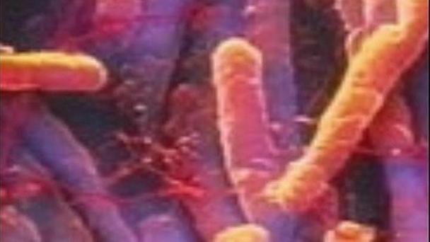 Superbug Zapper Can Save Millions of Lives