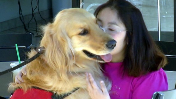 Cleaning Fee for Service Dog Outrages Family
