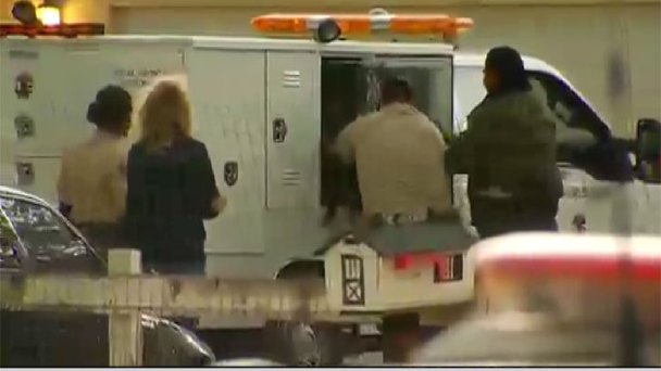 DNA Tests Expected on Dogs Suspected in Fatal Mauling