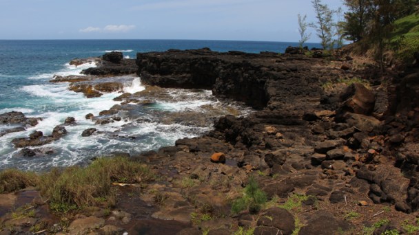 Rising Number of Drownings a Concern in Hawaii
