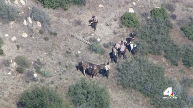 [LA] New Allegations in Pursuit Beating Case